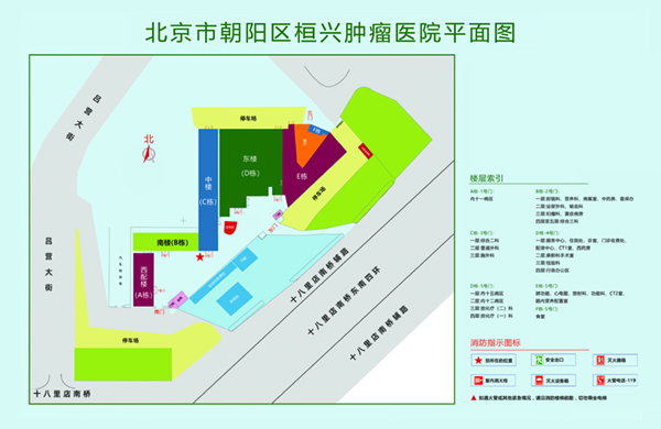 肏嫰逼免费视频北京市朝阳区桓兴肿瘤医院平面图